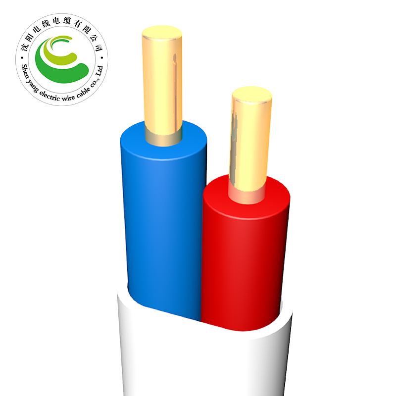 2芯  ZR-BVVB  2*1.0mm?--2*10mm?  铜芯电缆 阻燃铜芯聚乙烯绝缘聚氯乙烯护