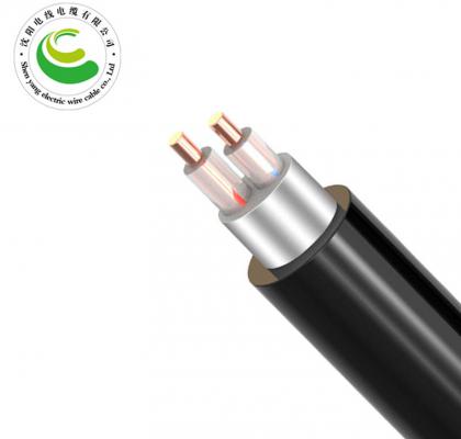 2芯（单根）  ZR-VV22  2*1.5mm?--2*50mm? 铜芯电缆 阻燃铜芯聚乙烯绝缘聚氯乙烯护套钢带铠装电力电缆