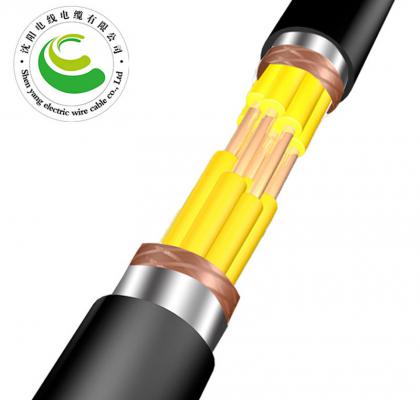 20芯  ZR-KVVP22  2--30芯*（ 1.5--2.5mm?）  阻燃铜芯聚氯乙烯绝缘聚乙烯护套钢带铠装电缆